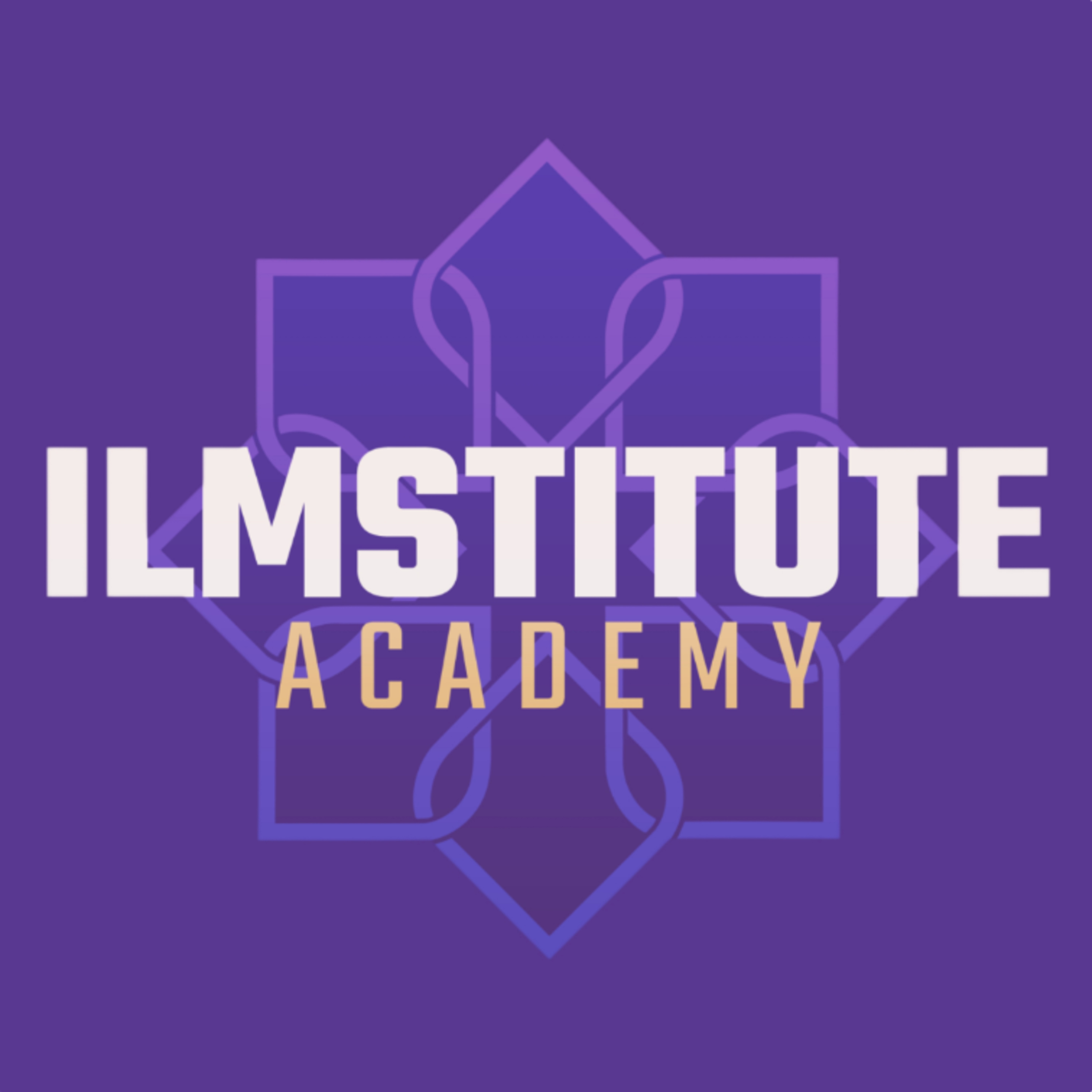 Ilmstitute Academy